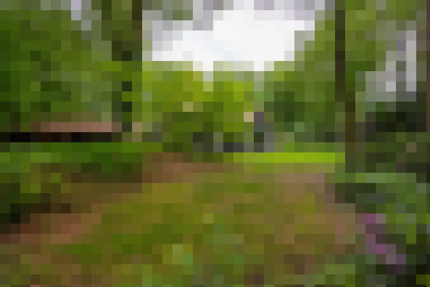 Bosweg 18 Epse thumbnail 81