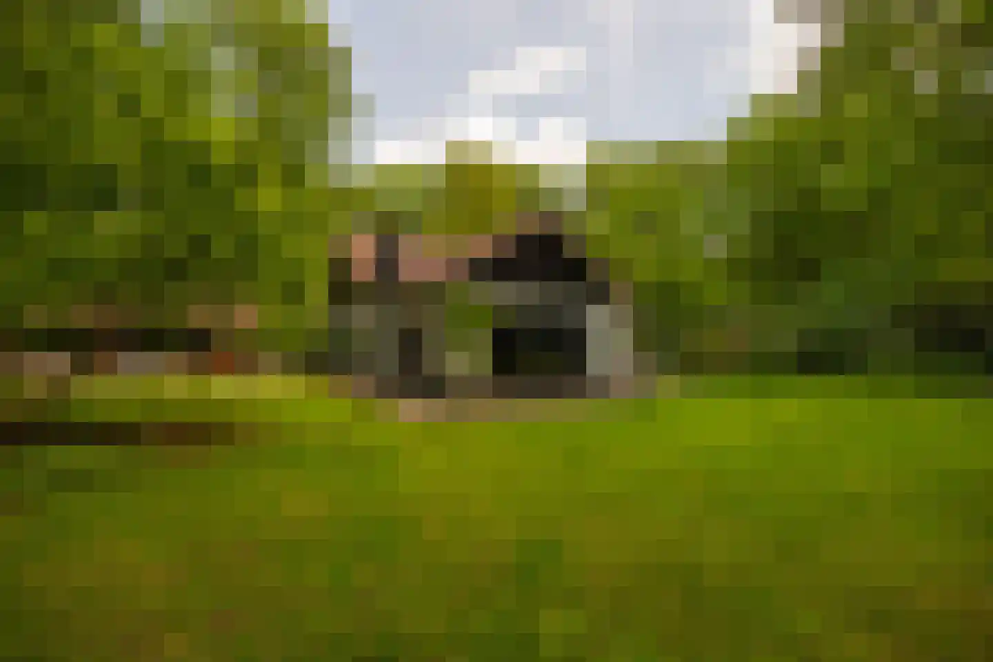 Bosweg 18 Epse thumbnail 83