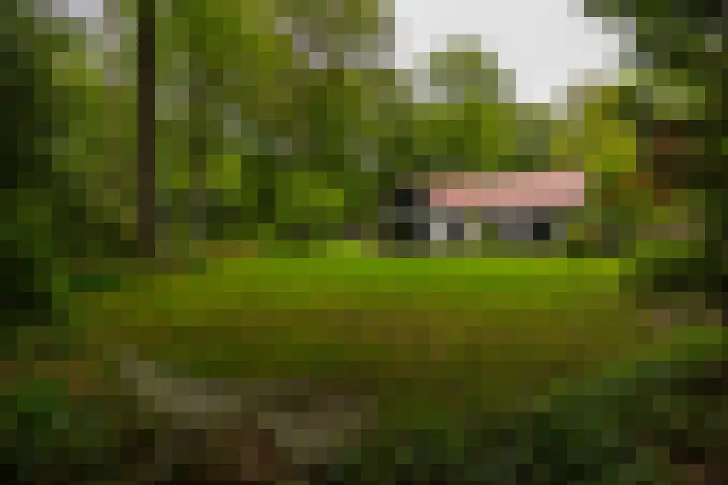 Bosweg 18 Epse thumbnail 85