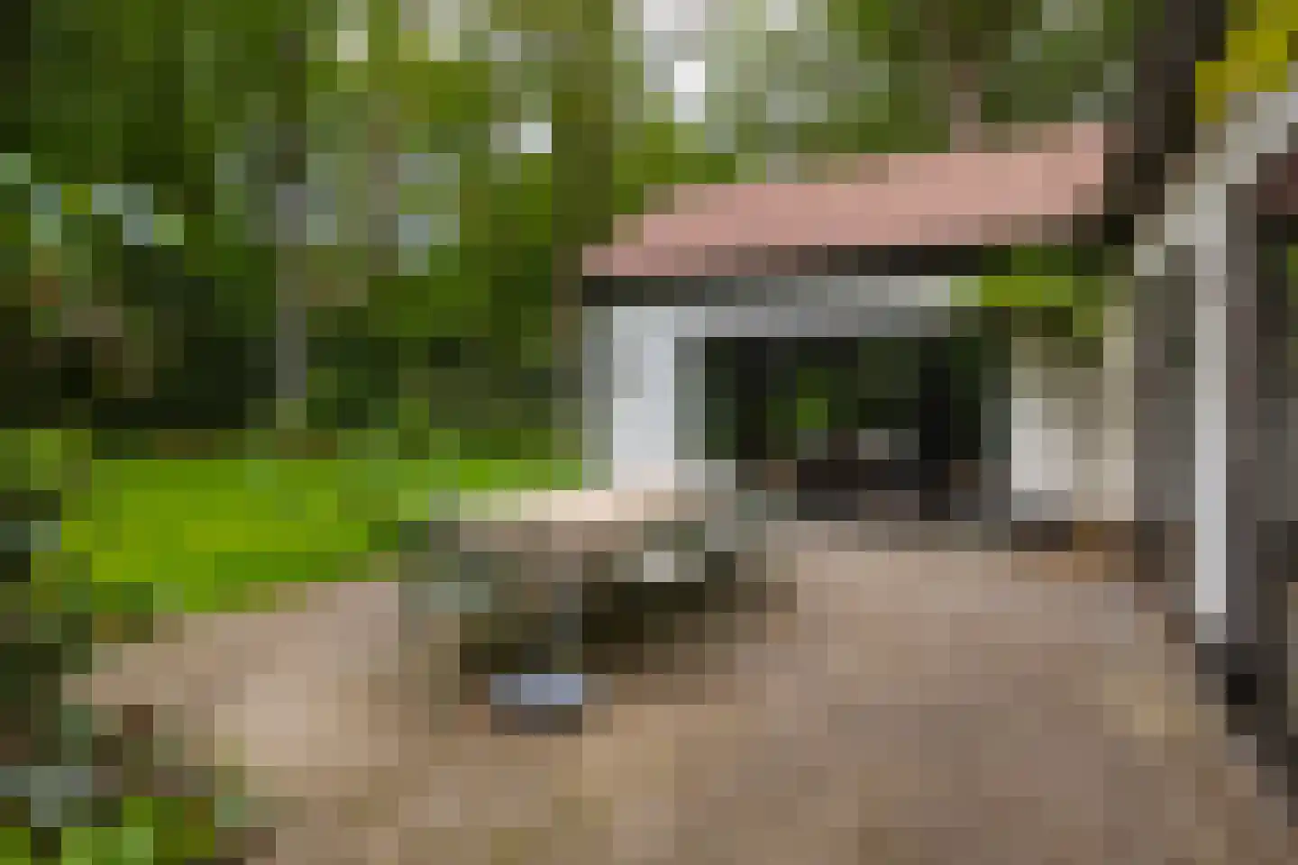 Bosweg 18 Epse thumbnail 87
