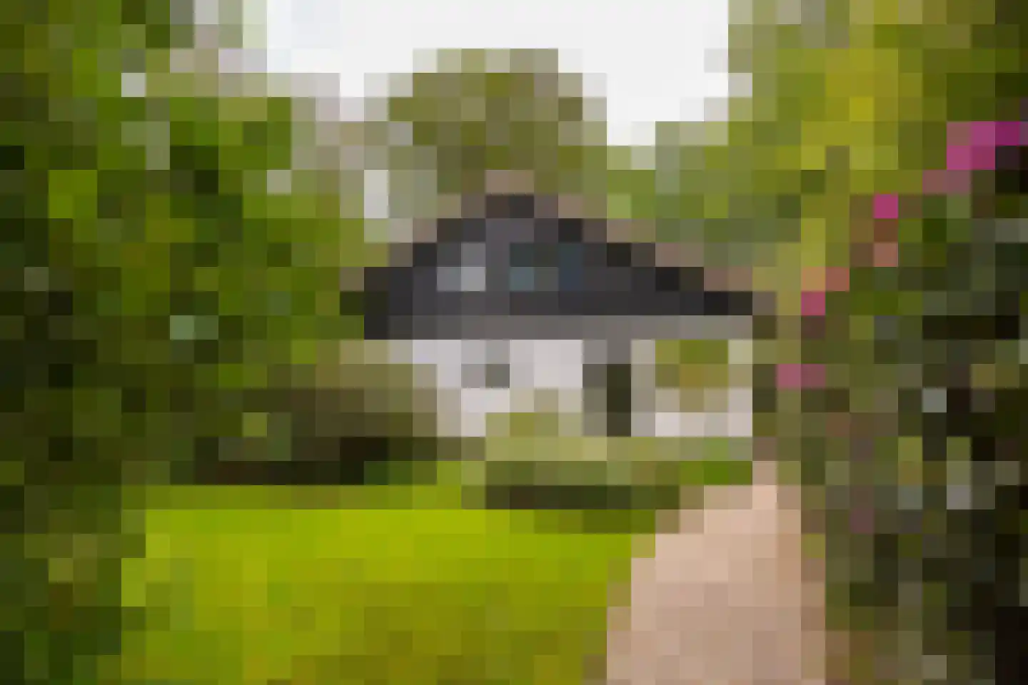 Bosweg 18 Epse thumbnail 89