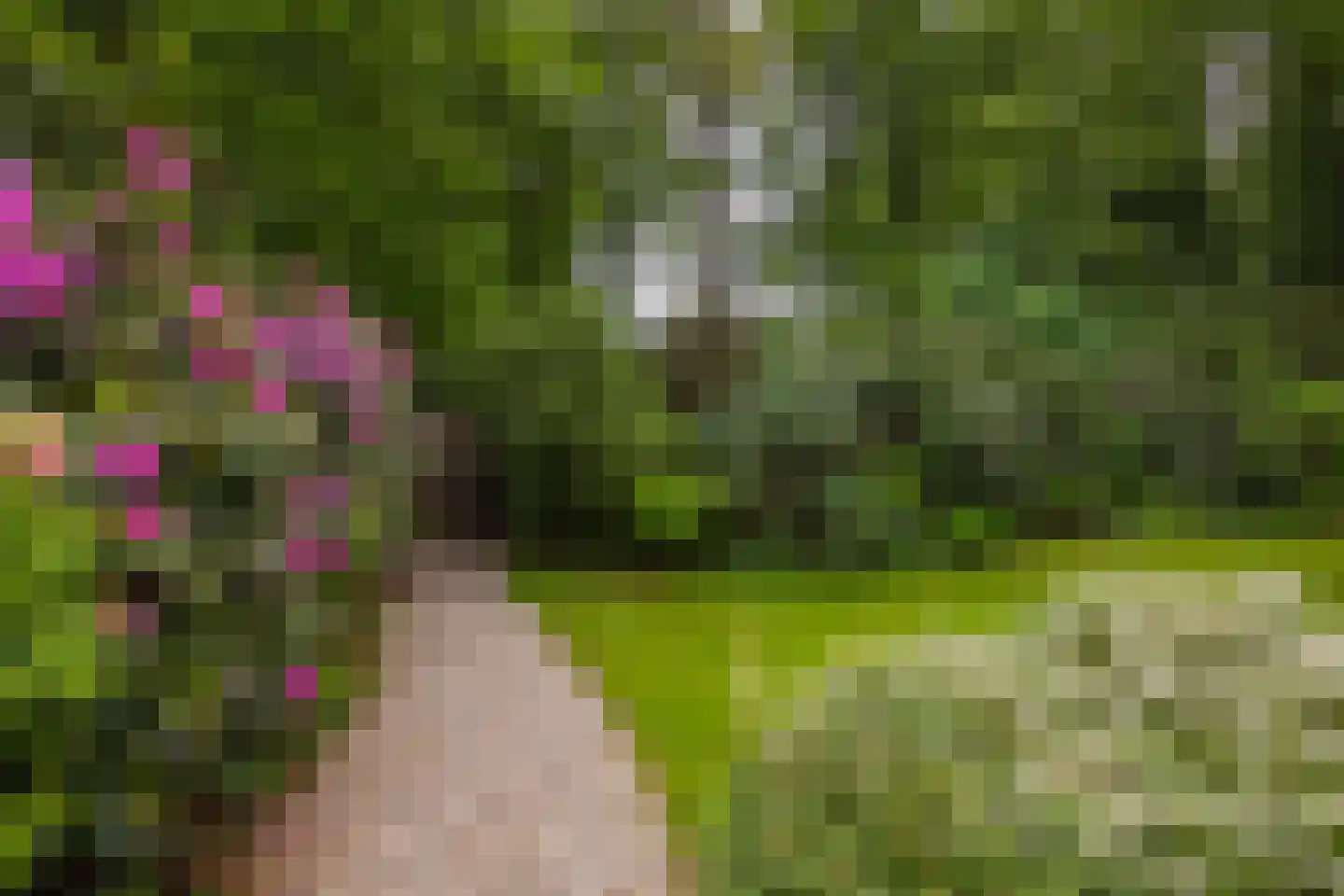Bosweg 18 Epse thumbnail 90