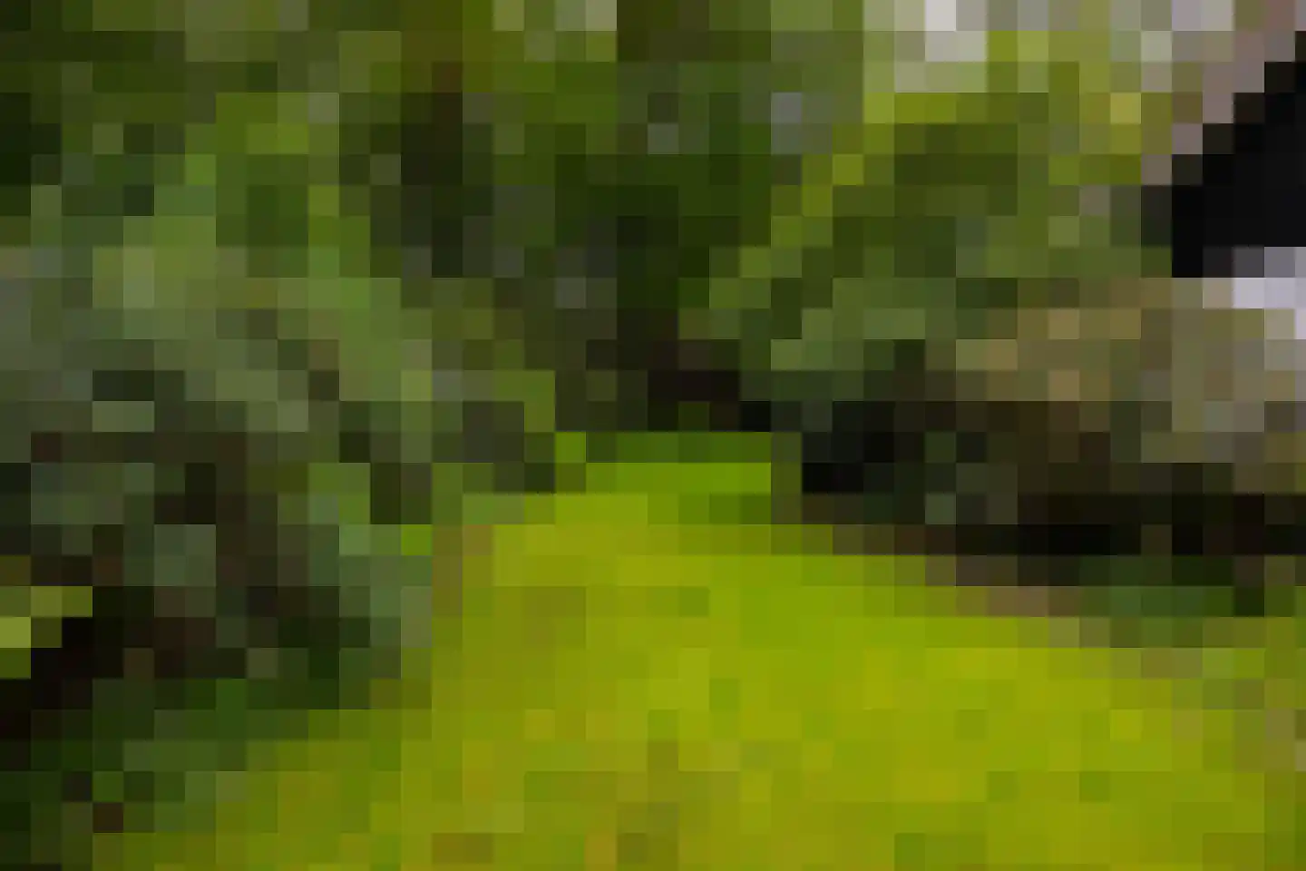 Bosweg 18 Epse thumbnail 91