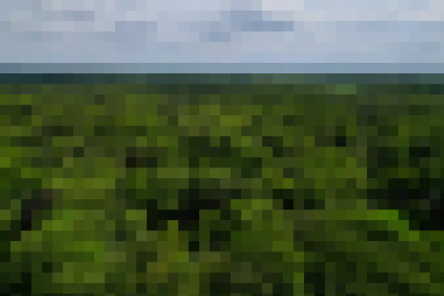 Bosweg 18 Epse thumbnail 92