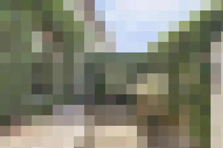Bosweg 19 Amersfoort thumbnail 18