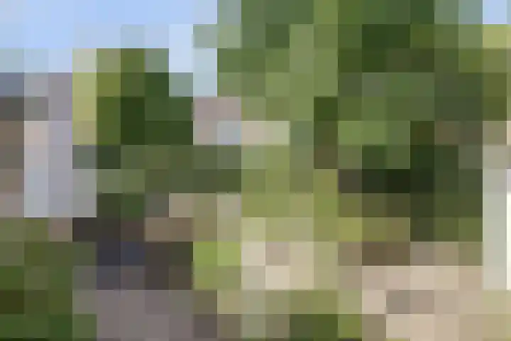Bosweg 19 Amersfoort thumbnail 19