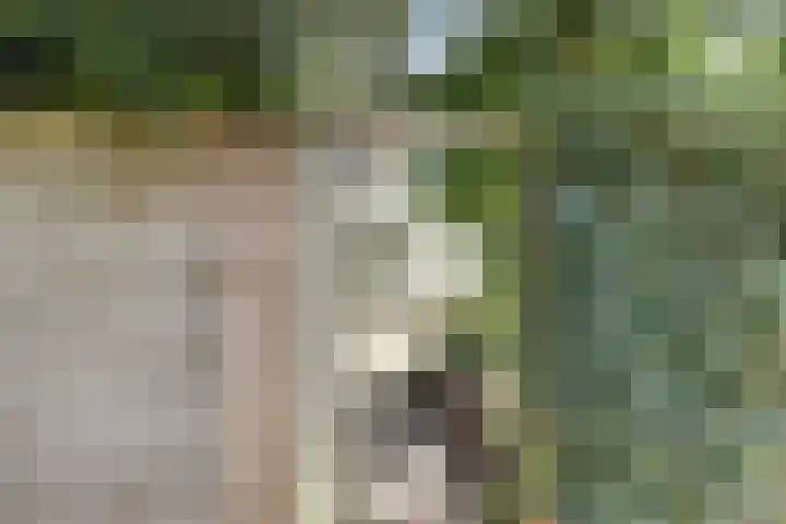 Bosweg 19 Amersfoort thumbnail 20