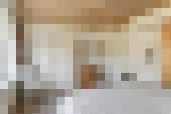 Bosweg 19 Amersfoort thumbnail 24