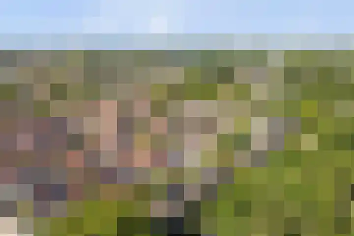 Bosweg 19 Amersfoort thumbnail 32