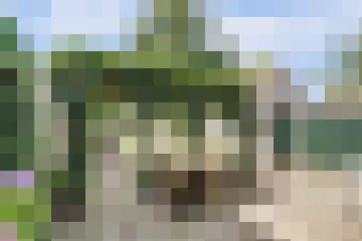 Bosweg 19 Amersfoort thumbnail 5