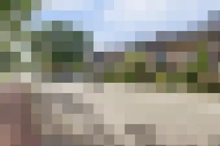 Bosweg 19 Amersfoort thumbnail 6