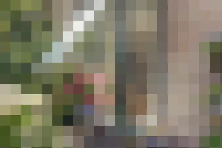 Bosweg 19 Amersfoort thumbnail 7