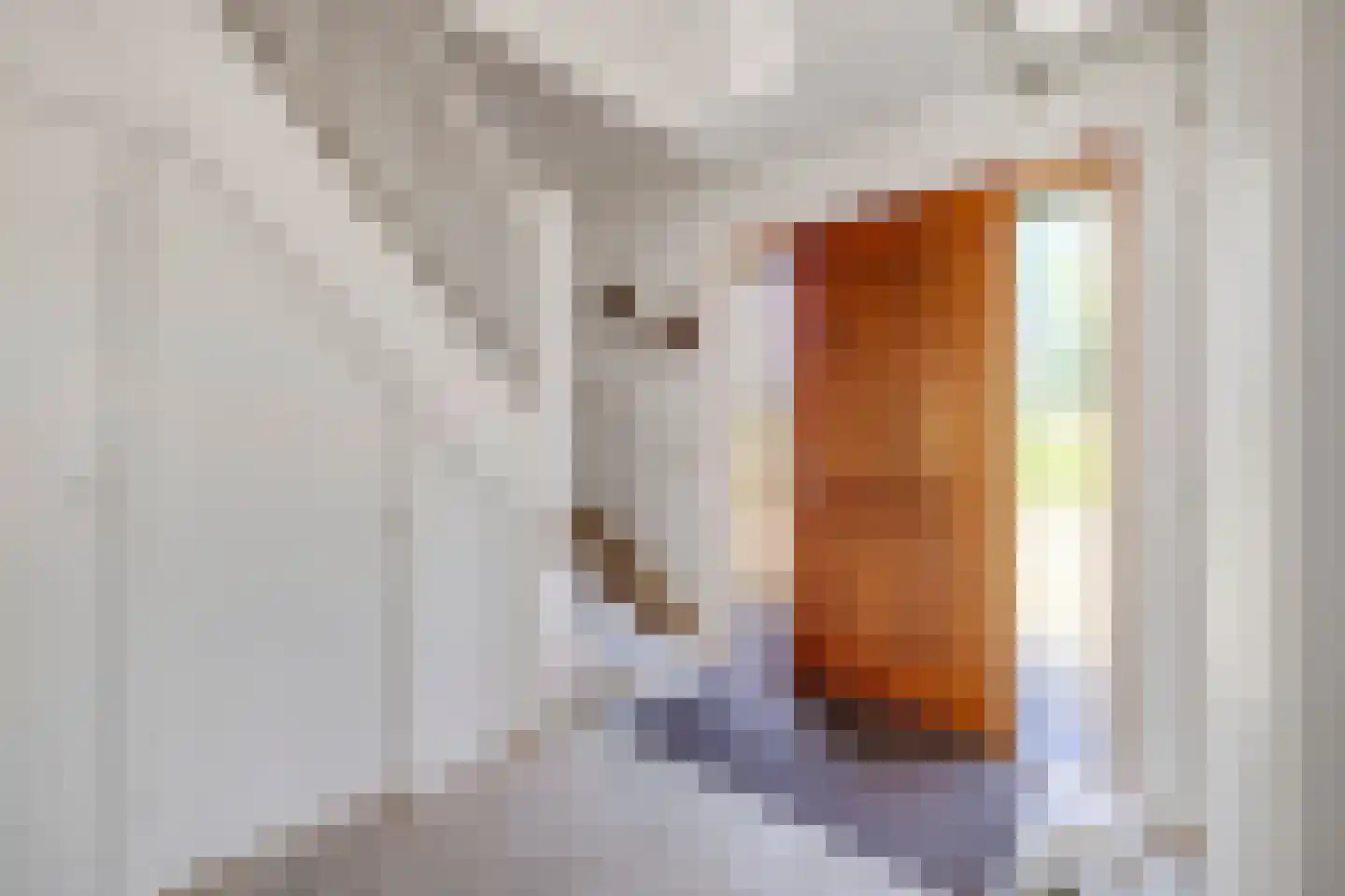 Bosweg 19 Oostvoorne thumbnail 10
