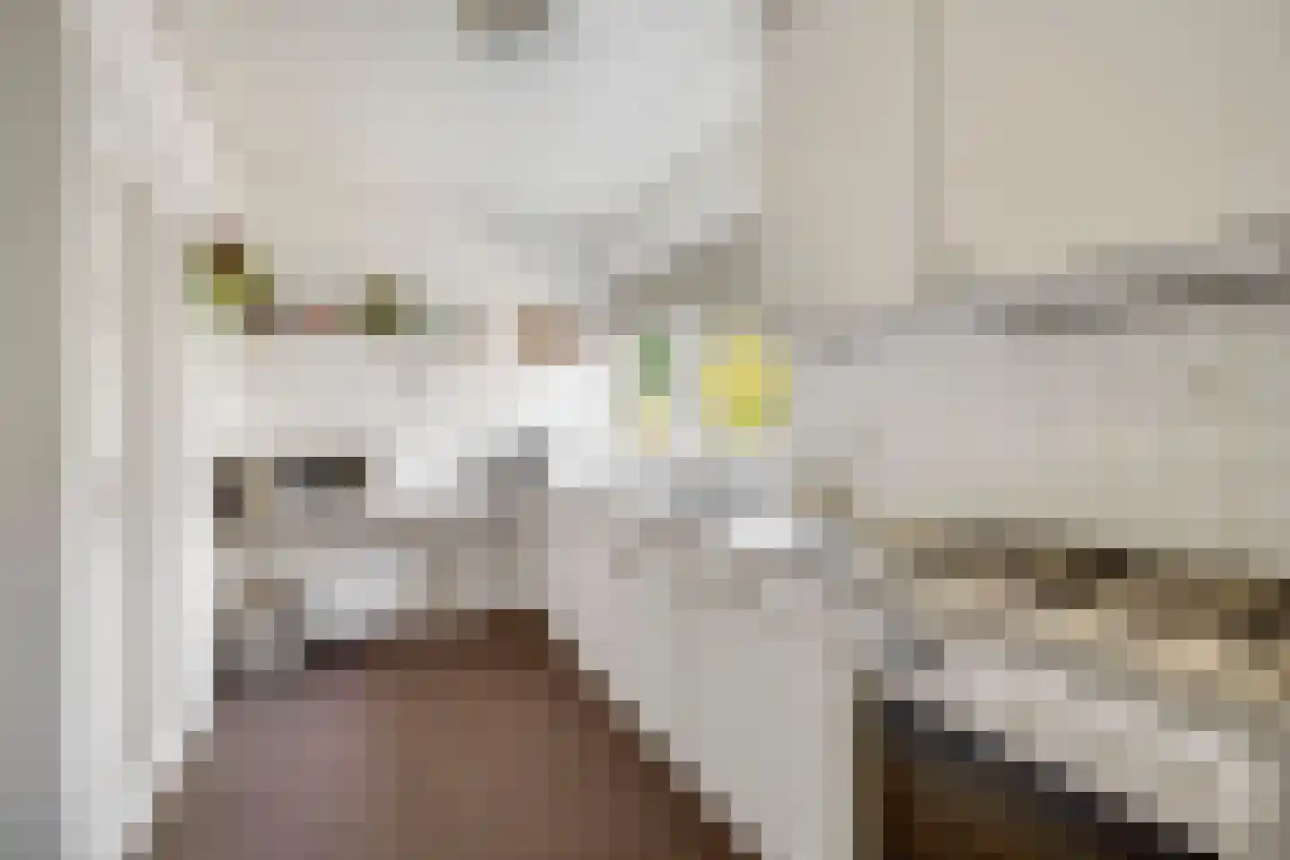 Bosweg 19 Oostvoorne thumbnail 18