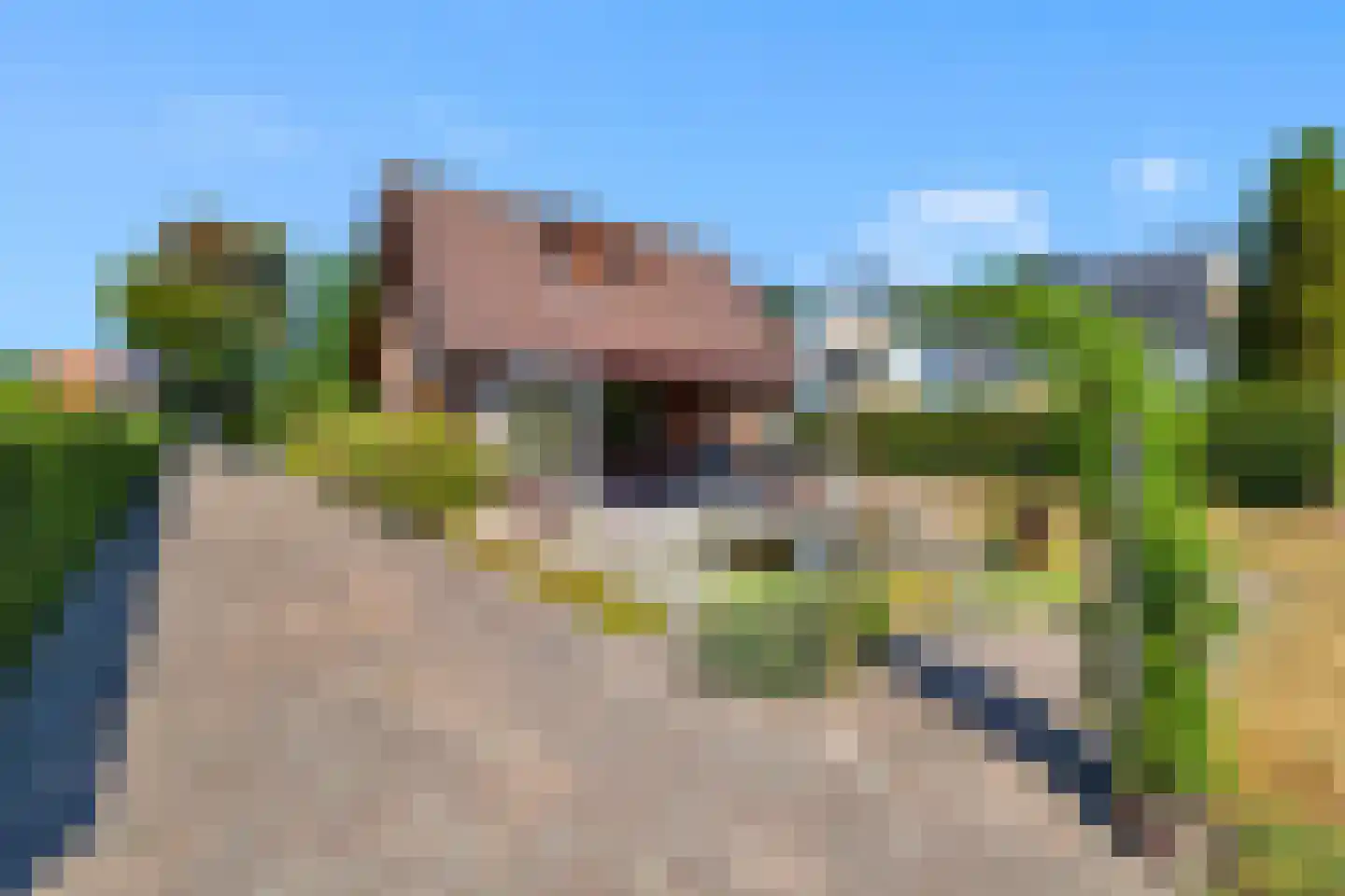 Bosweg 19 Oostvoorne thumbnail 29