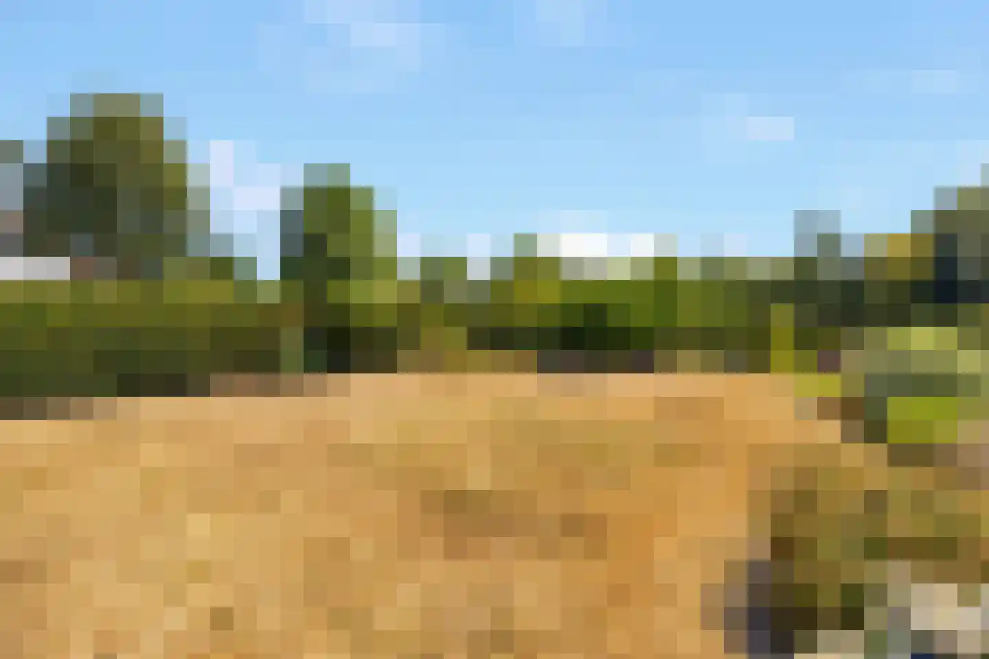 Bosweg 19 Oostvoorne thumbnail 31