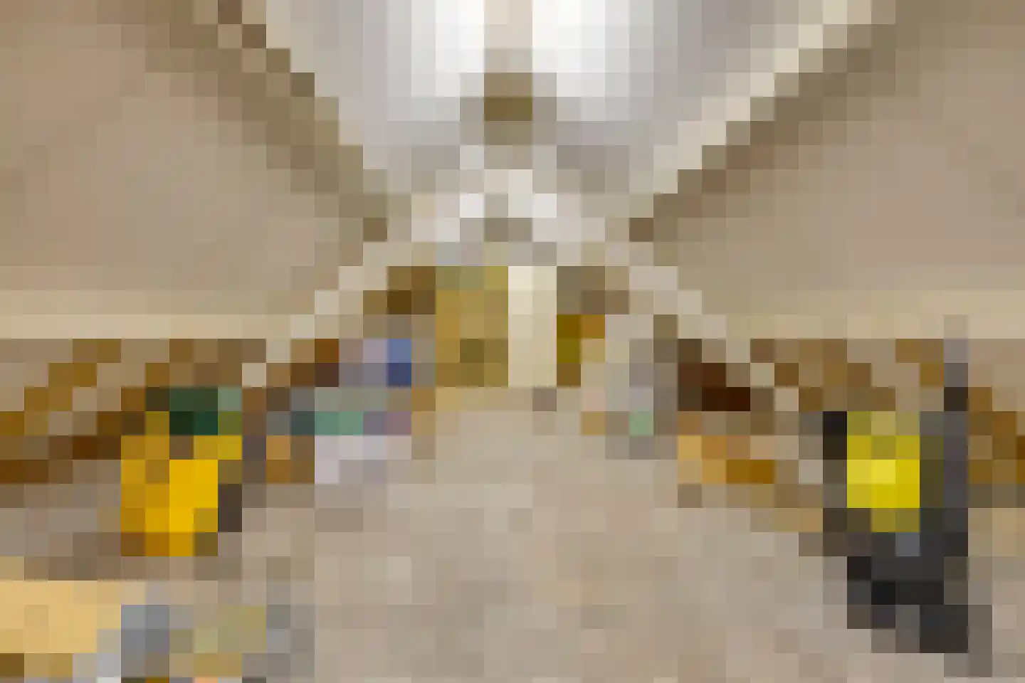 Bosweg 19 Oostvoorne thumbnail 36