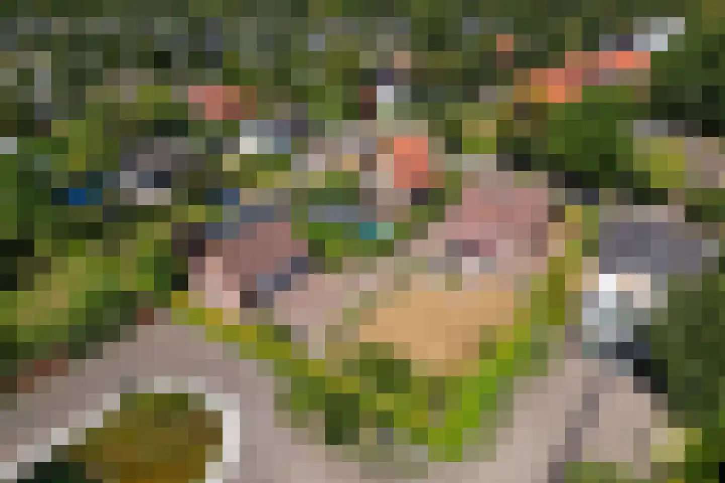 Bosweg 19 Oostvoorne thumbnail 39