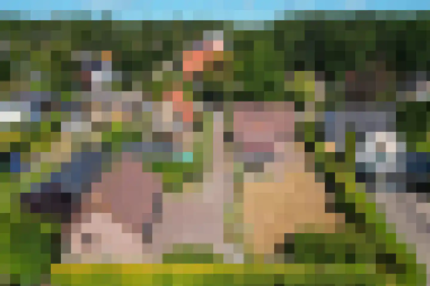 Bosweg 19 Oostvoorne thumbnail 4