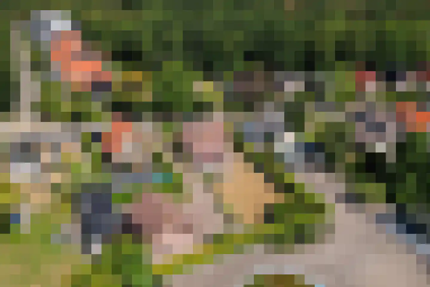 Bosweg 19 Oostvoorne thumbnail 40
