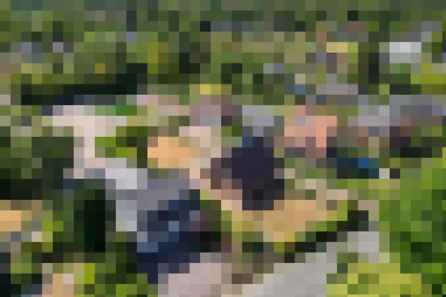 Bosweg 19 Oostvoorne thumbnail 41