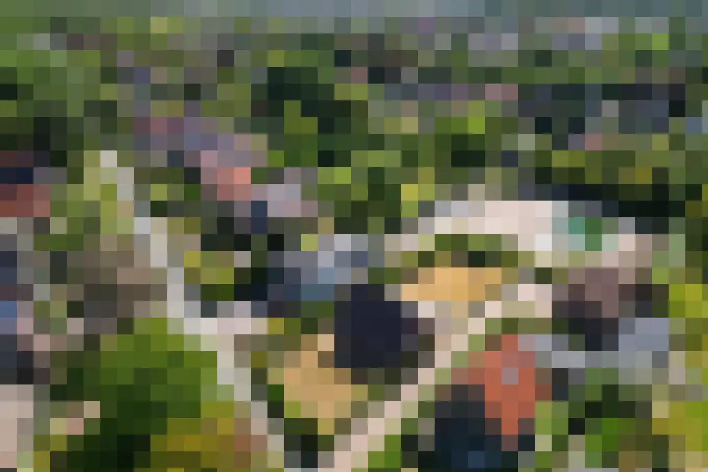 Bosweg 19 Oostvoorne thumbnail 42