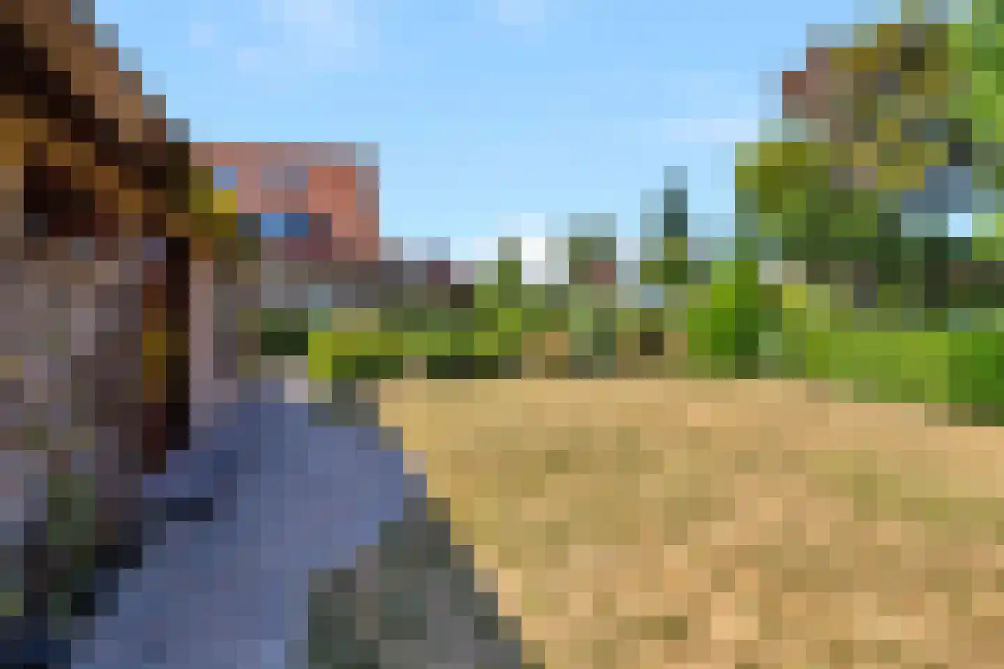 Bosweg 19 Oostvoorne thumbnail 9