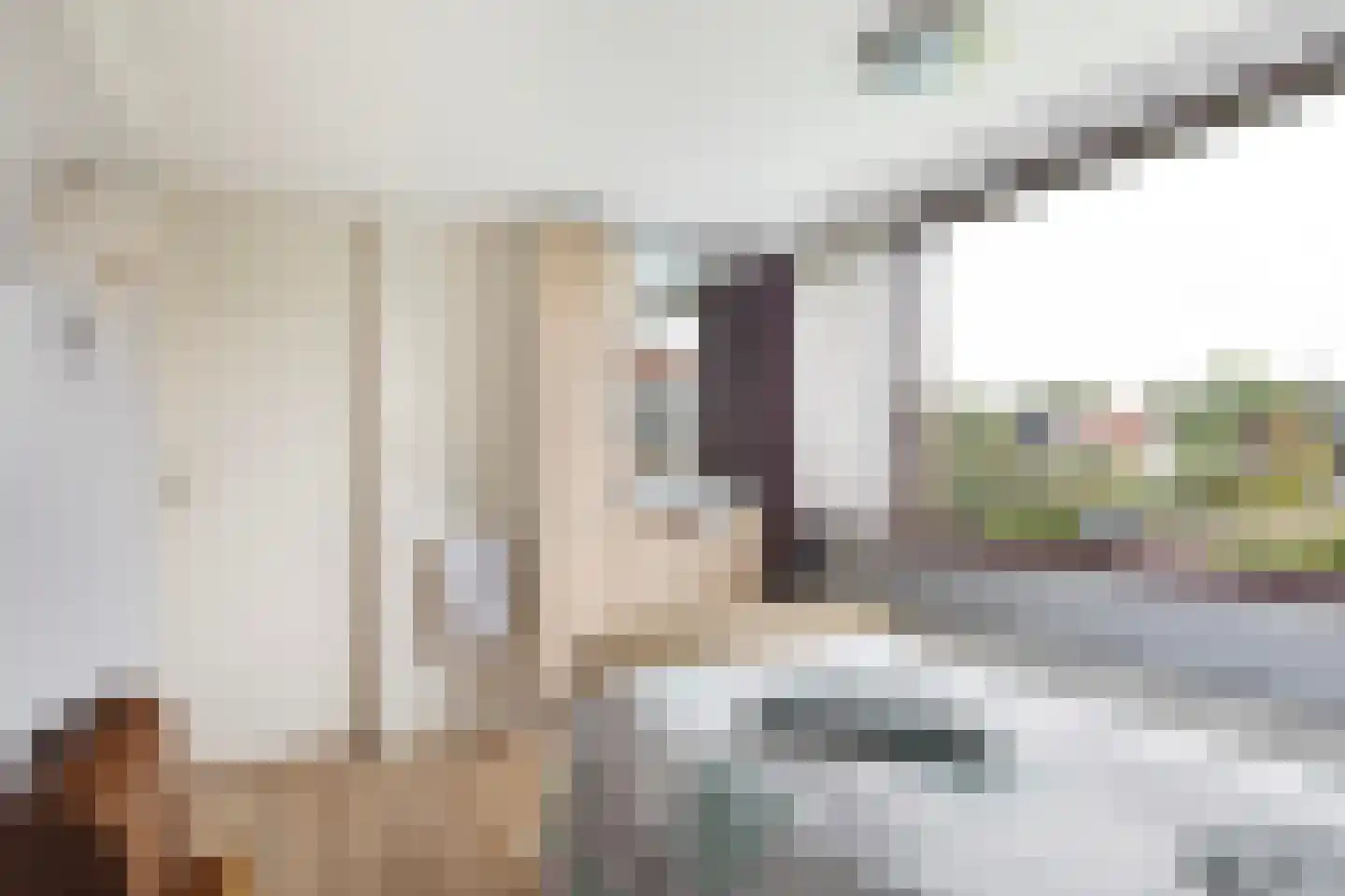 Bosweg 19 Strijen thumbnail 19