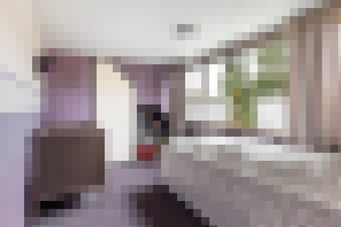 Bosweg 19 Strijen thumbnail 20