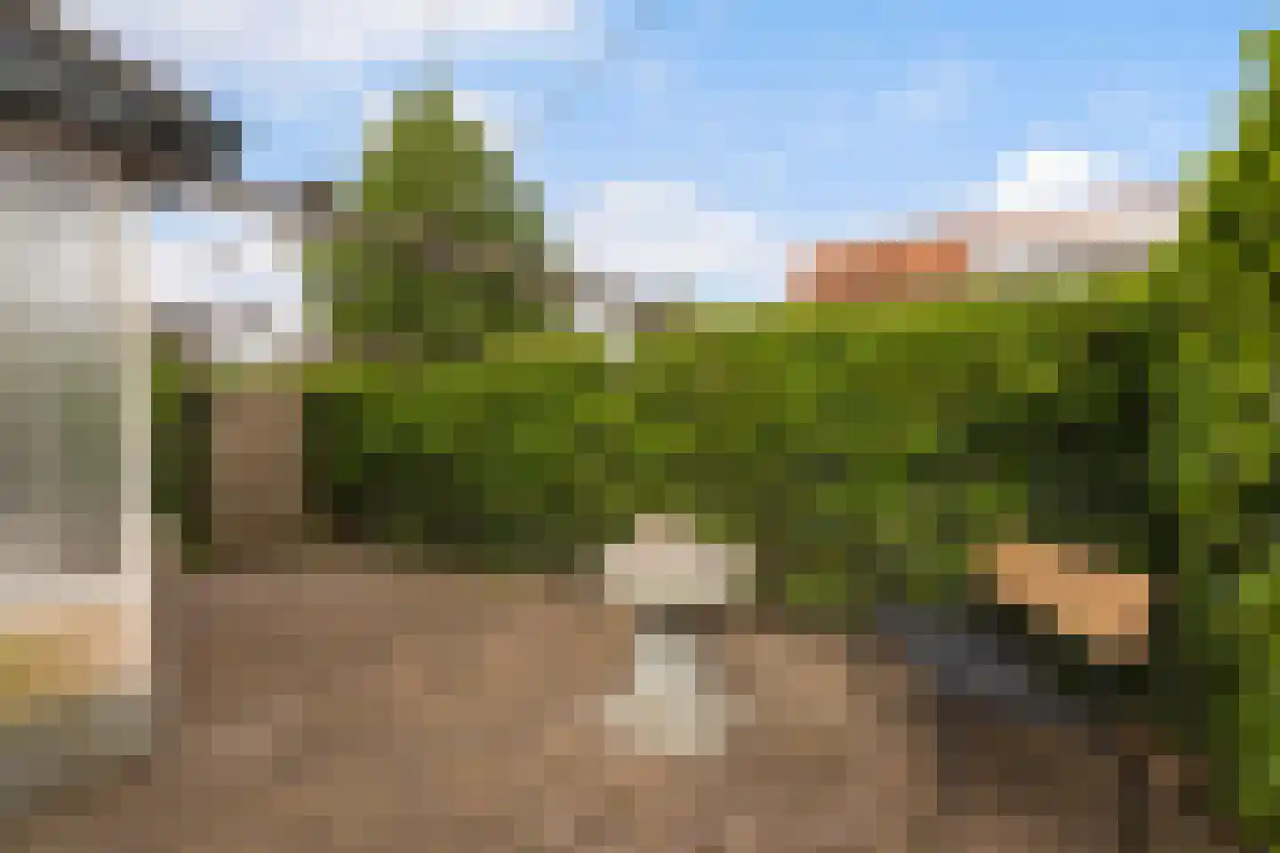 Bosweg 19 Strijen thumbnail 25