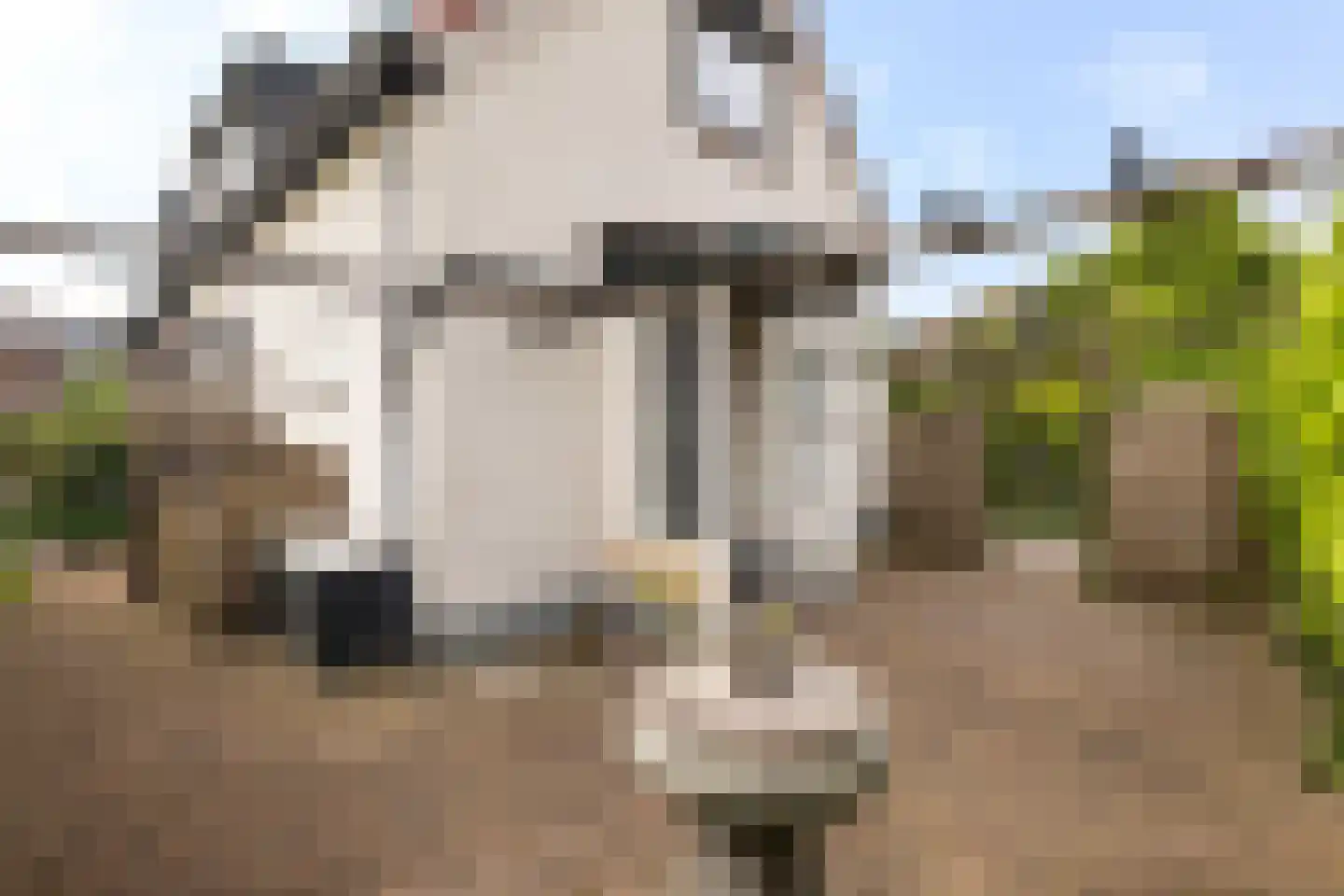 Bosweg 19 Strijen thumbnail 26