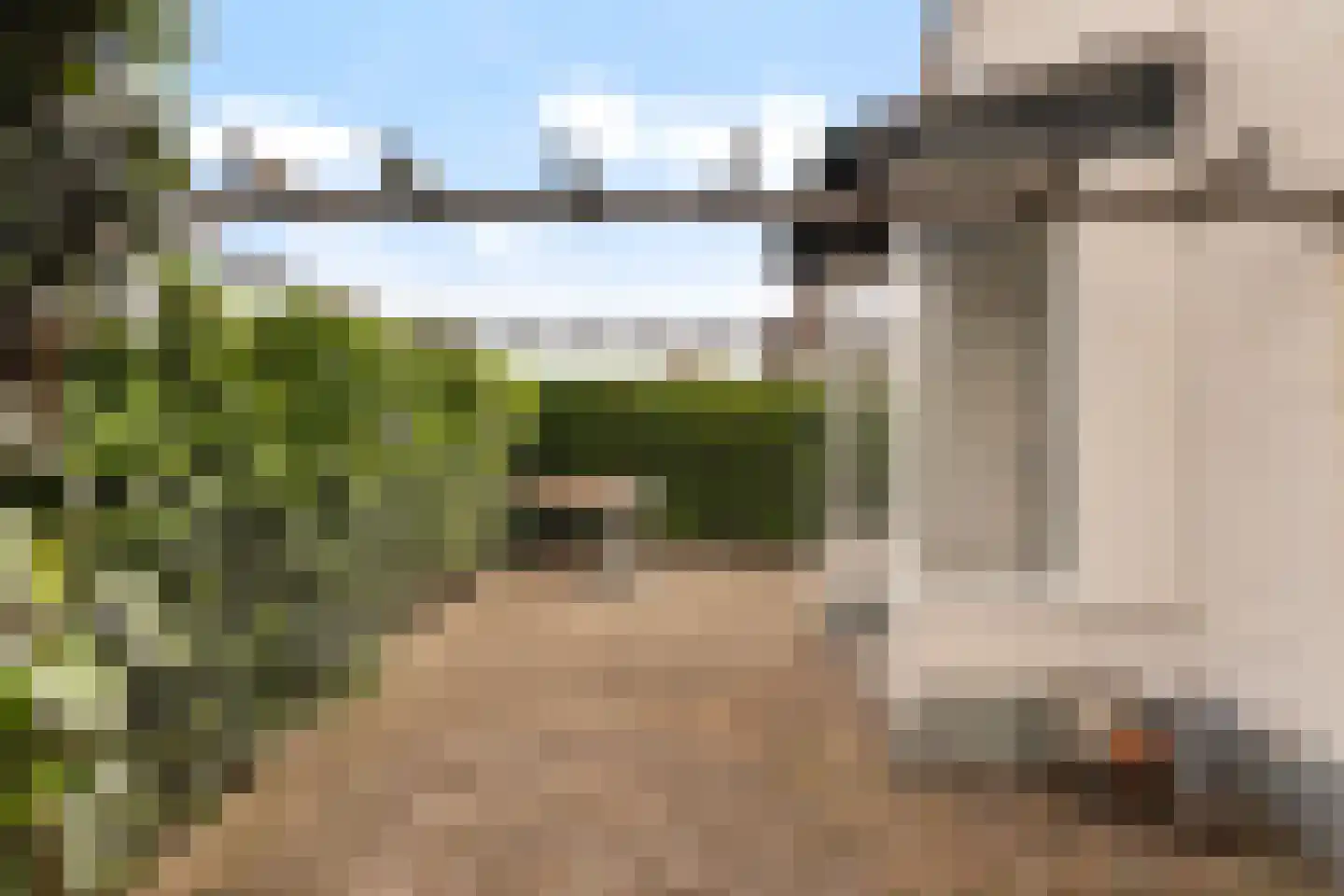 Bosweg 19 Strijen thumbnail 27
