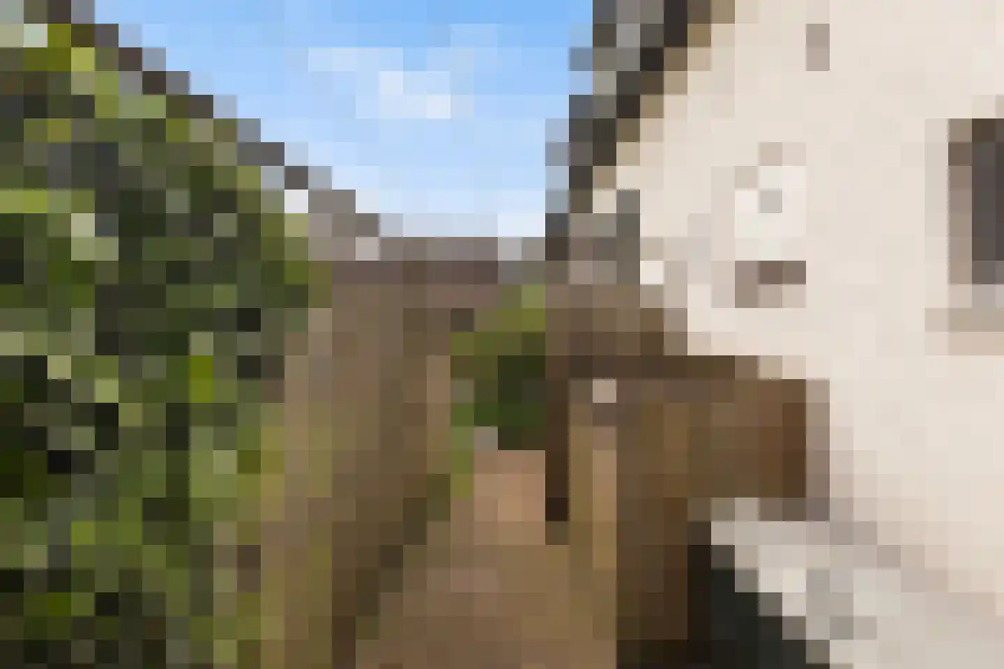 Bosweg 19 Strijen thumbnail 28