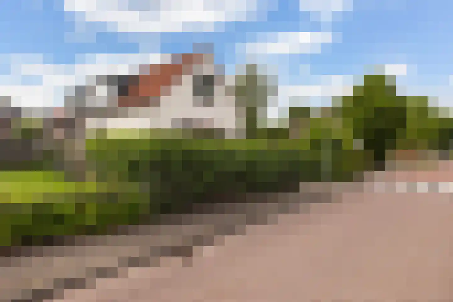 Bosweg 19 Strijen thumbnail 31