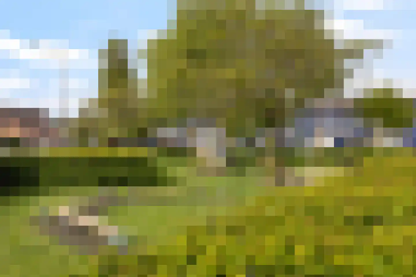 Bosweg 19 Strijen thumbnail 35