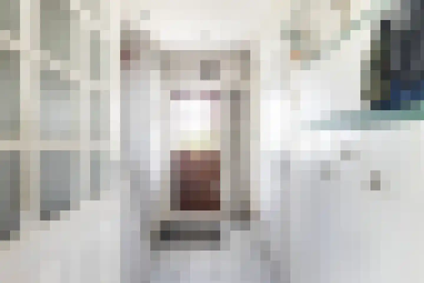 Bosweg 19 Strijen thumbnail 5