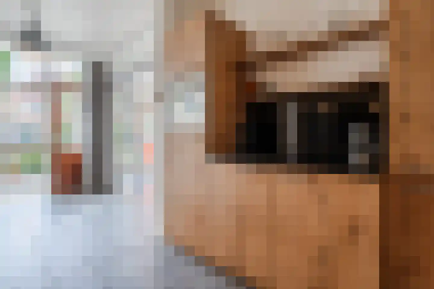Bosweg 19 Velp thumbnail 16