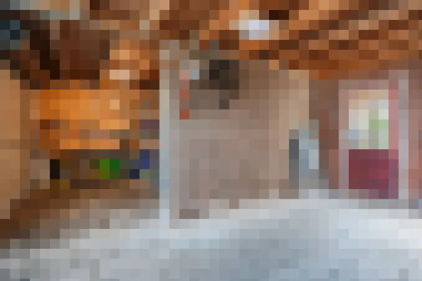Bosweg 19 Velp thumbnail 27