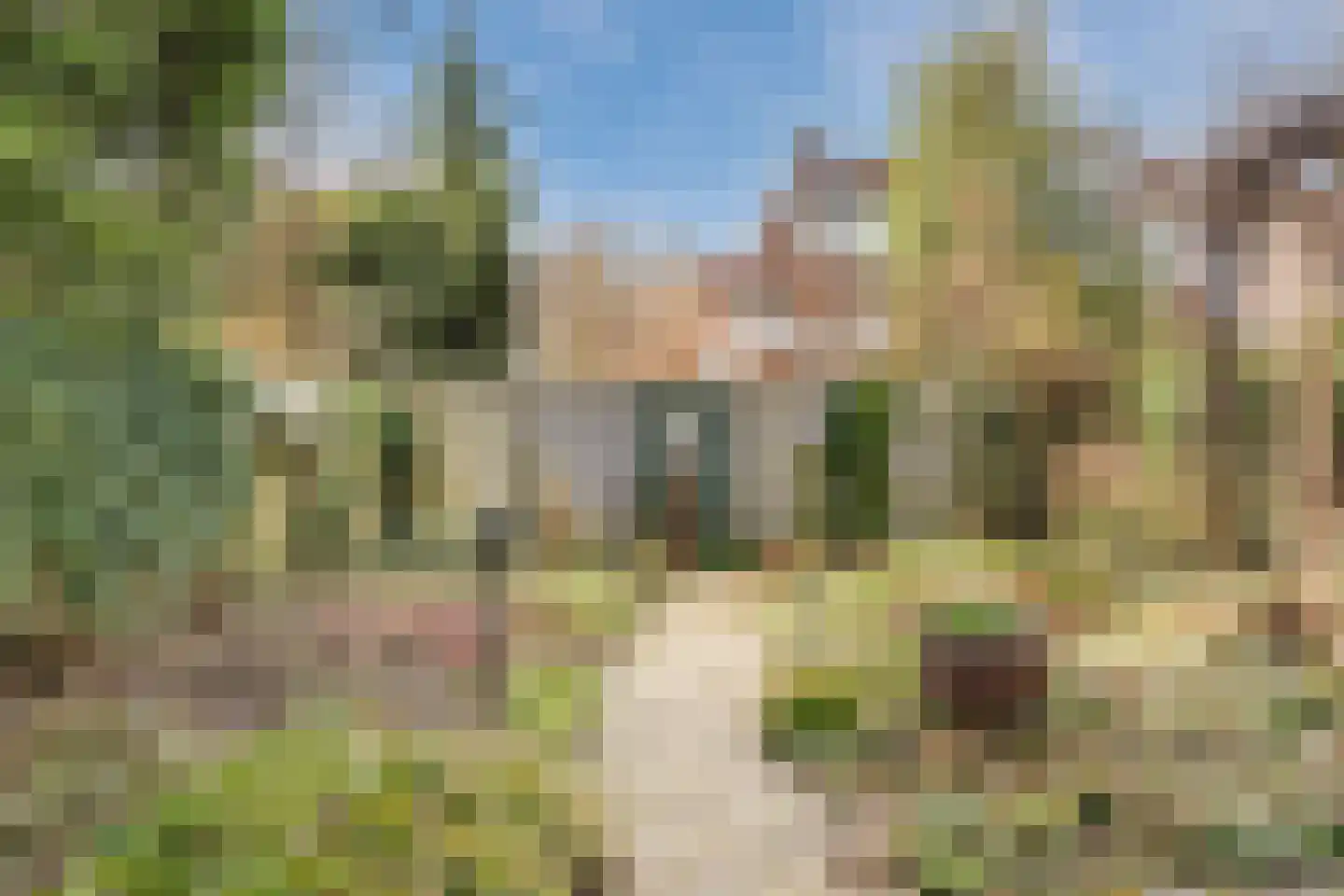 Bosweg 19 Velp foto 3