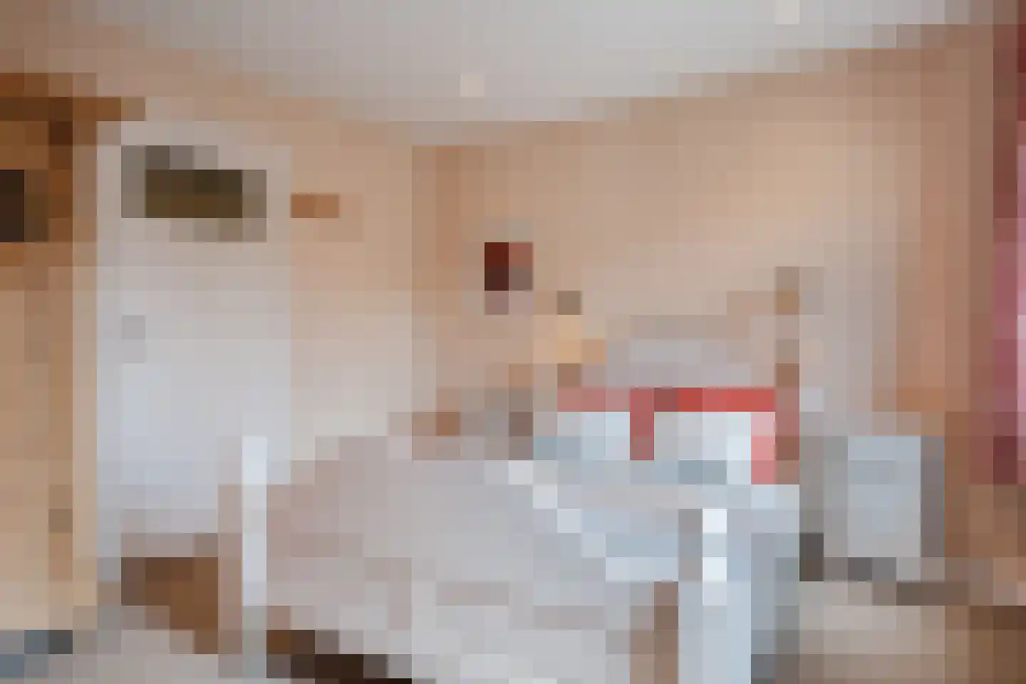 Bosweg 19 Velp thumbnail 32