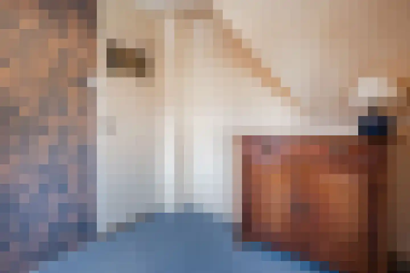 Bosweg 19 Velp thumbnail 34