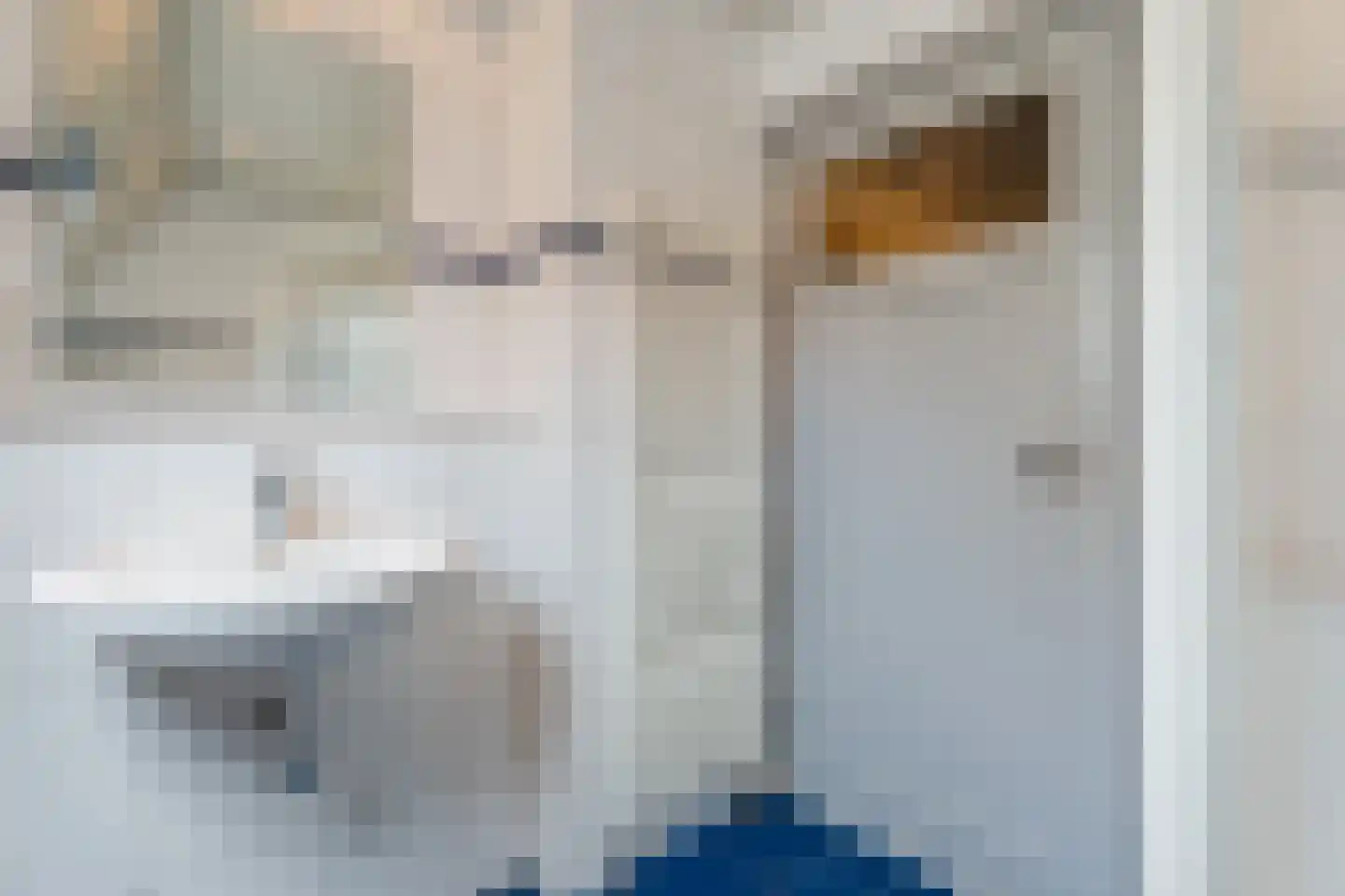 Bosweg 19 Velp thumbnail 38