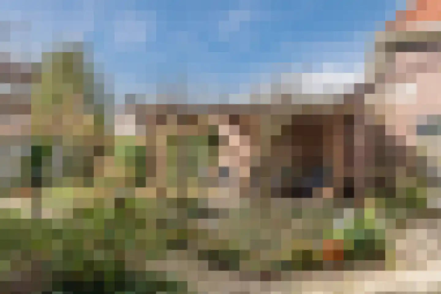 Bosweg 19 Velp thumbnail 4