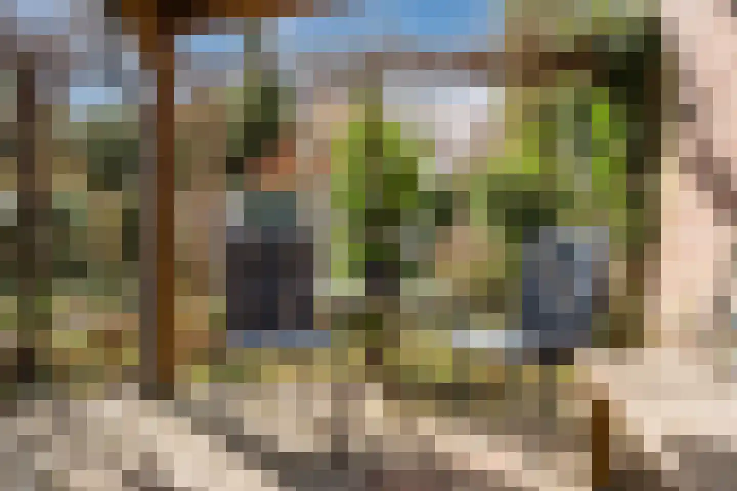 Bosweg 19 Velp thumbnail 41