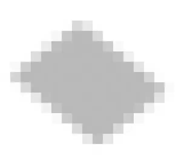 Bosweg 19 Velp thumbnail 48