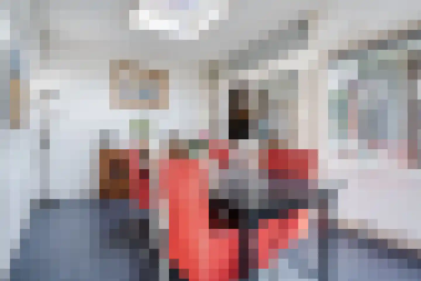 Bosweg 19 Velp thumbnail 7