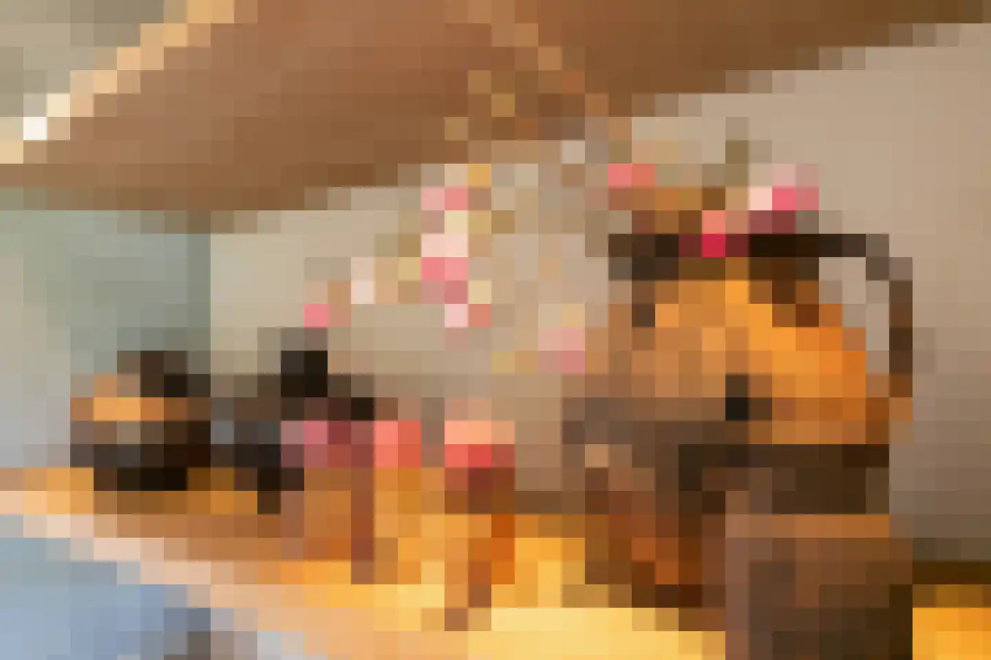 Bosweg 2 a Rockanje thumbnail 15