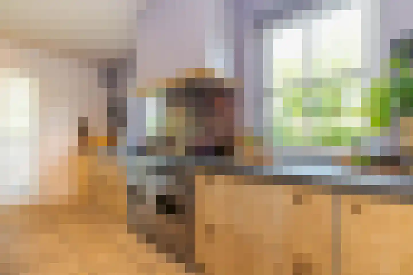Bosweg 2 a Rockanje thumbnail 20