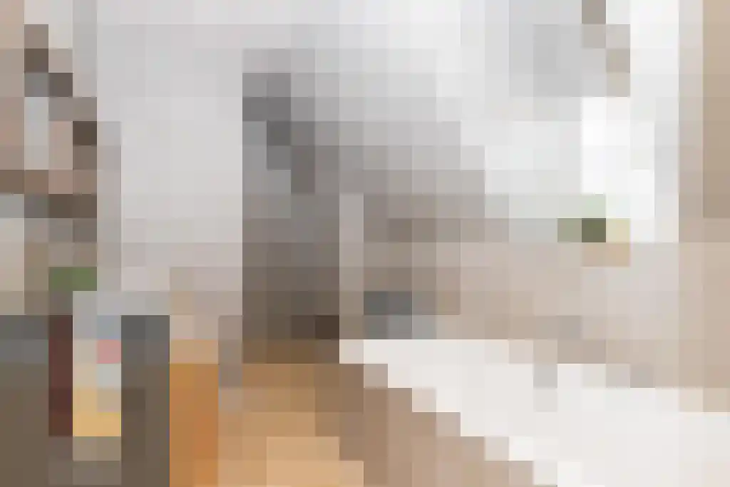 Bosweg 2 a Rockanje thumbnail 30