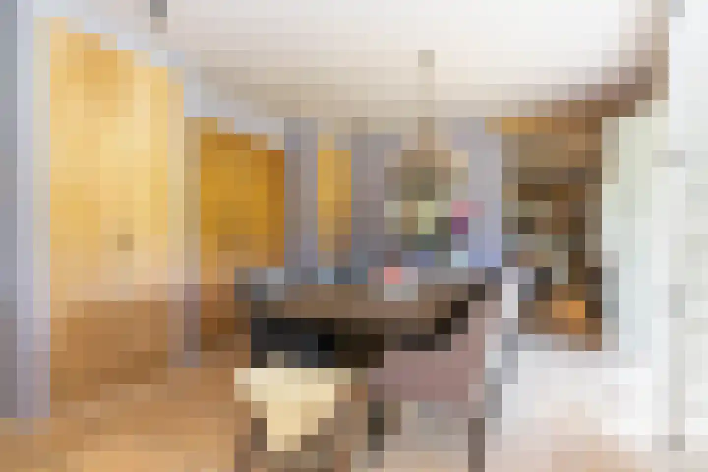 Bosweg 2 a Rockanje thumbnail 4